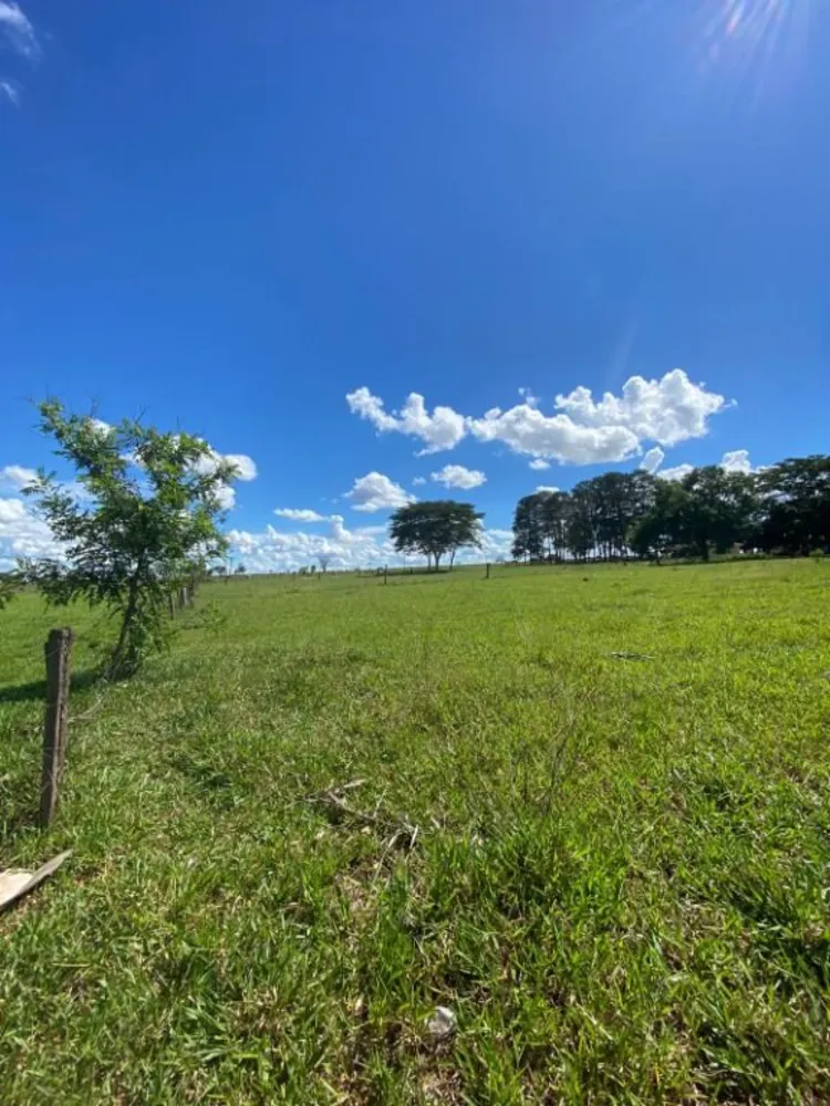 Terreno, 7 hectares - Foto 6