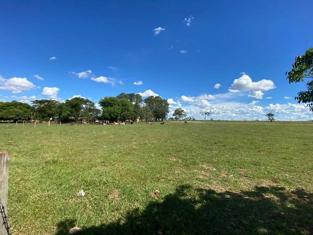 Terreno, 7 hectares - Foto 7