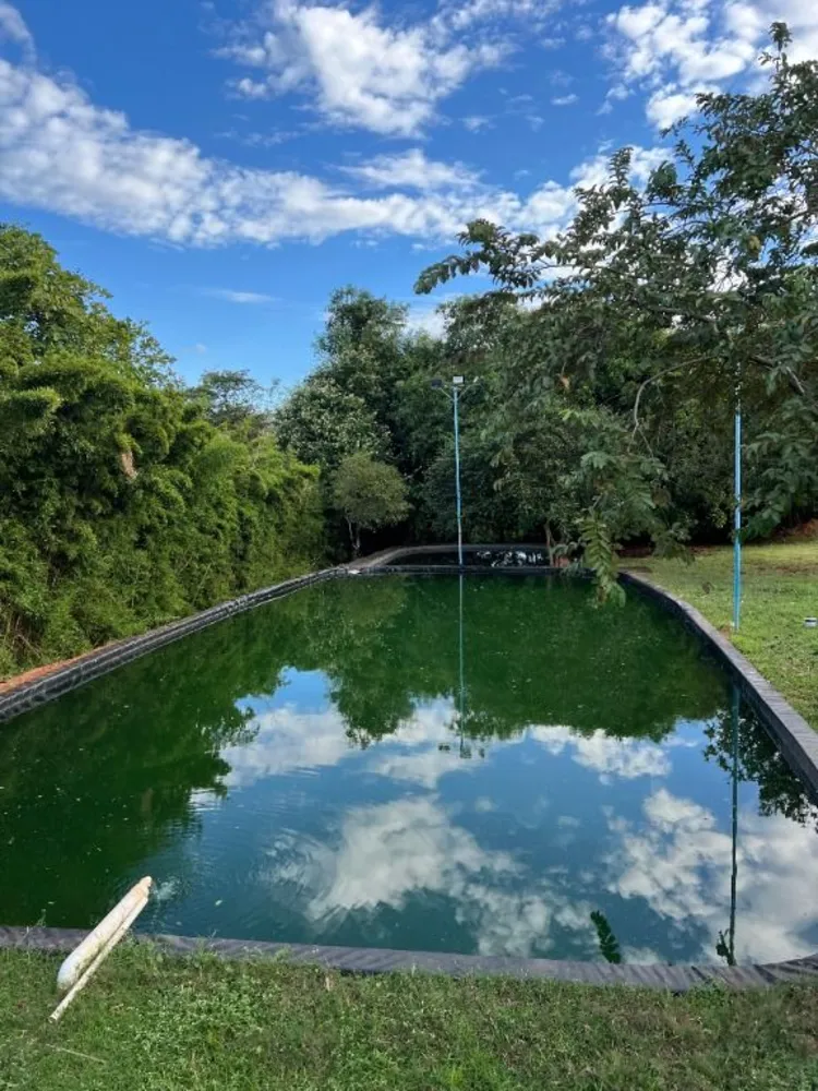 Chácara, 5 quartos, 5411 m² - Foto 4