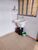 Casa, 110 m² - Foto 12