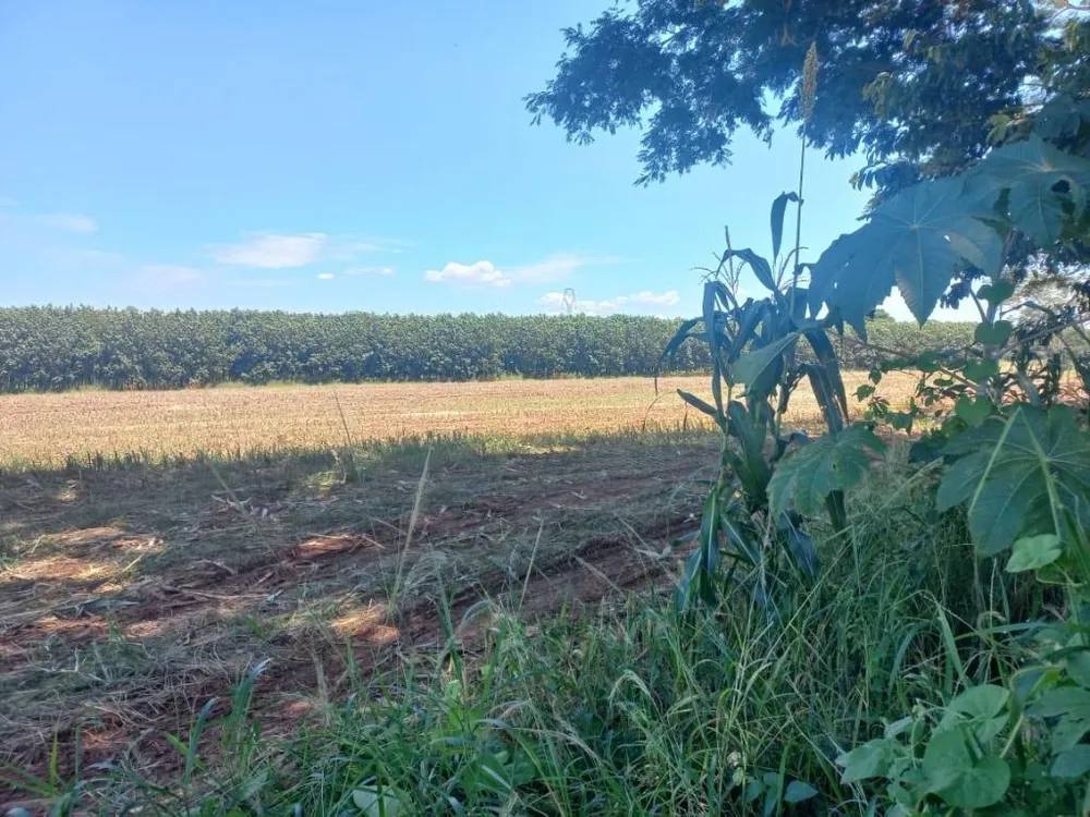 Terreno, 10 hectares - Foto 7