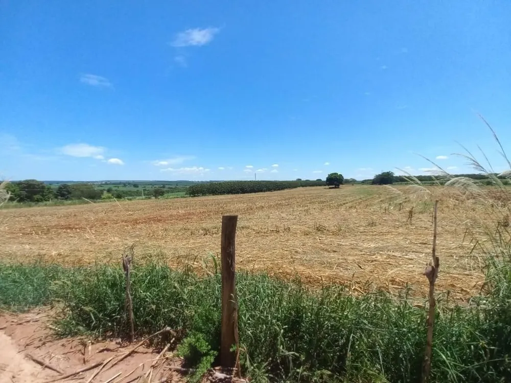 Terreno, 10 hectares - Foto 1