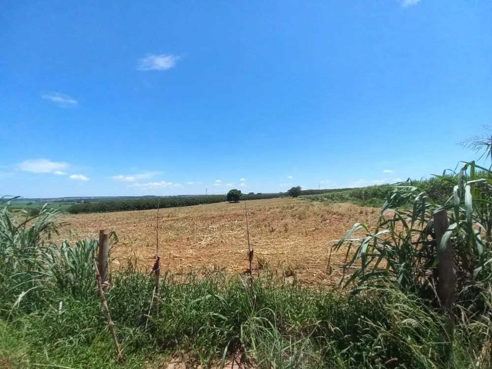 Terreno, 10 hectares - Foto 6