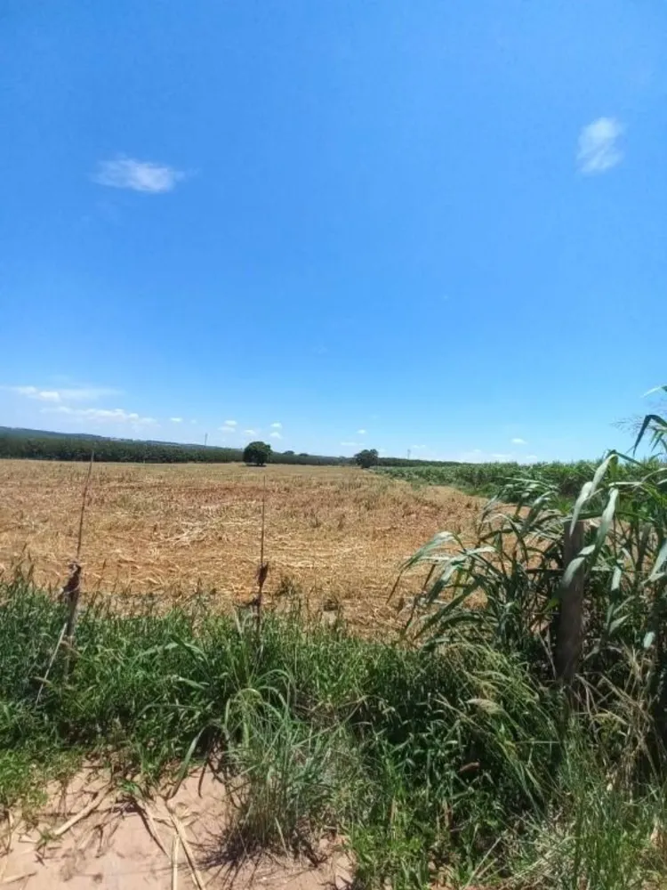 Terreno, 10 hectares - Foto 3