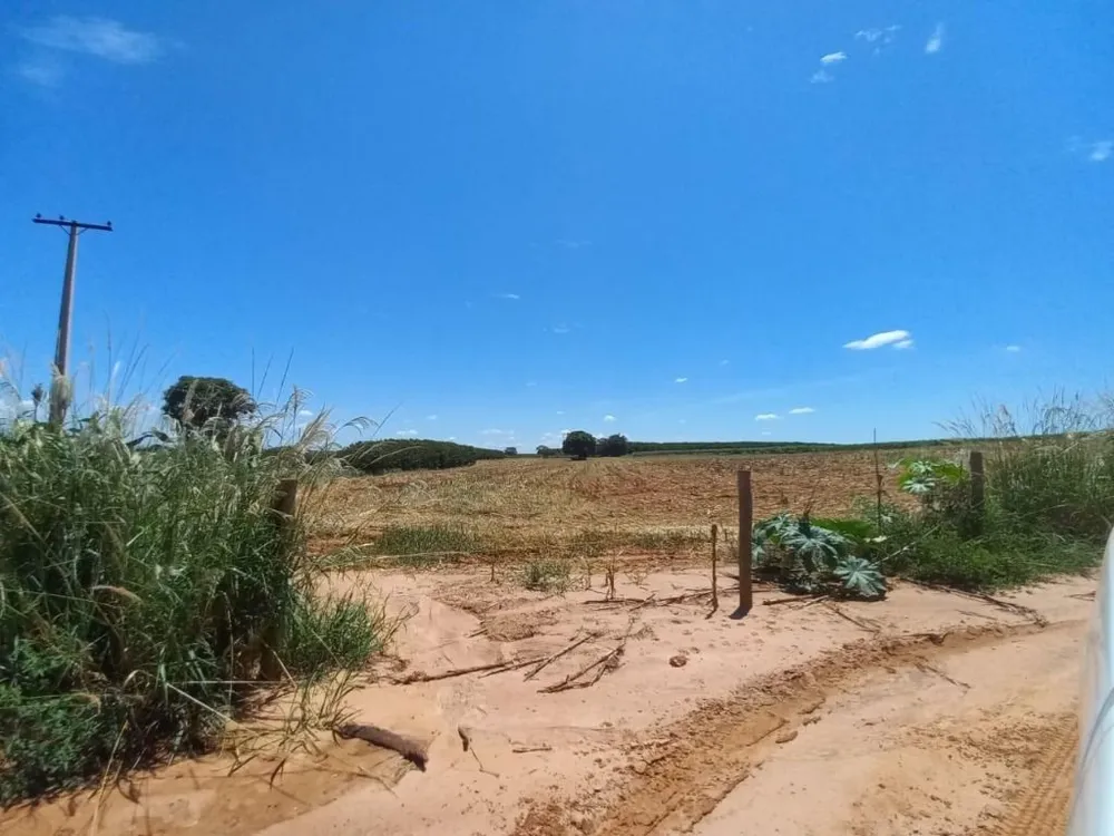 Terreno, 10 hectares - Foto 8