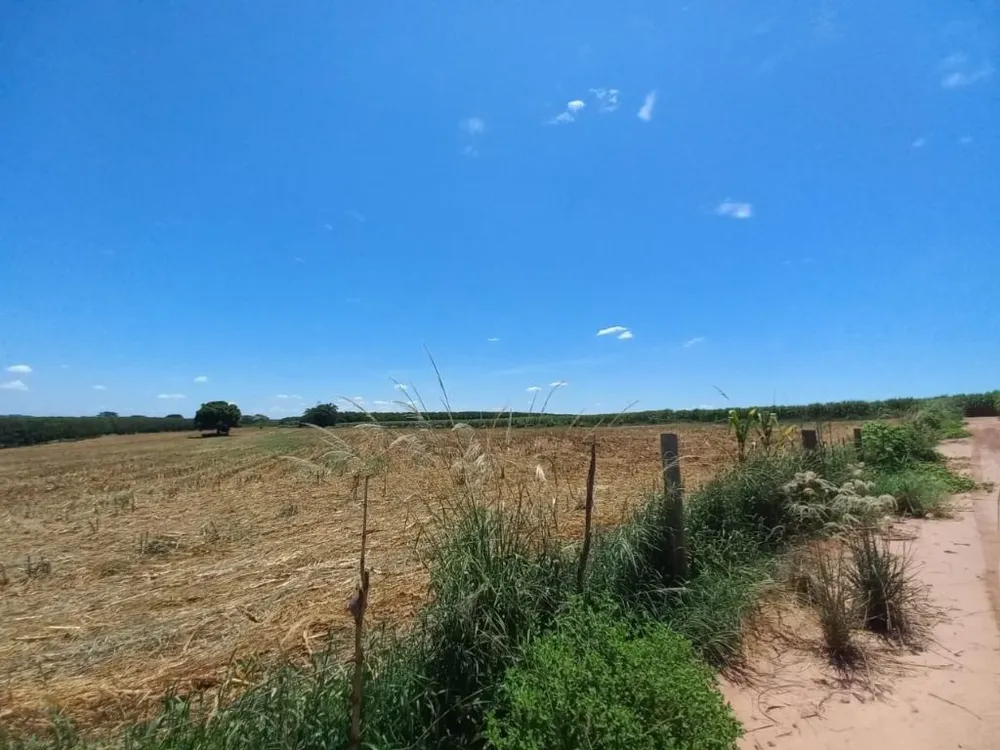 Terreno, 10 hectares - Foto 2