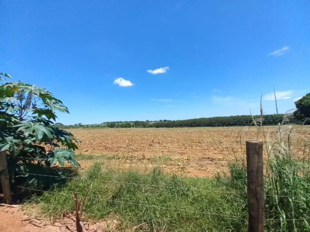 Terreno, 10 hectares - Foto 4