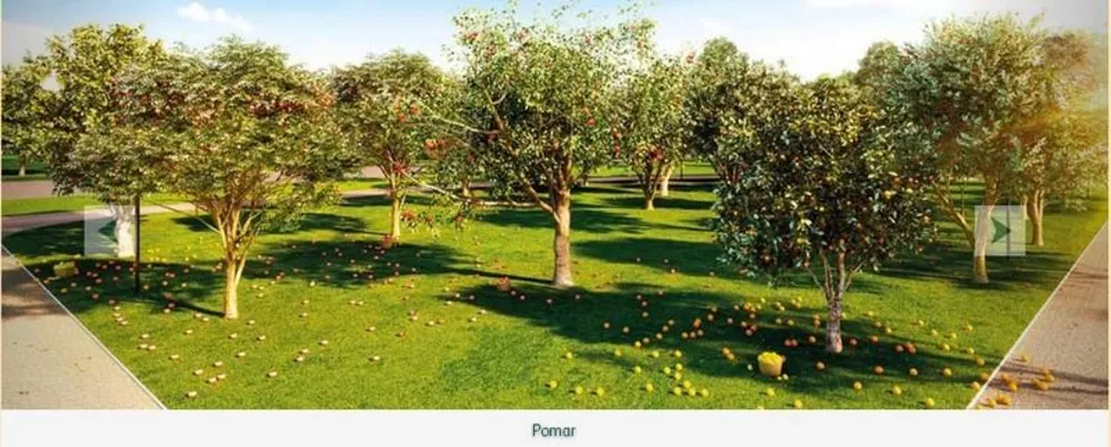Terreno, 192 m² - Foto 1