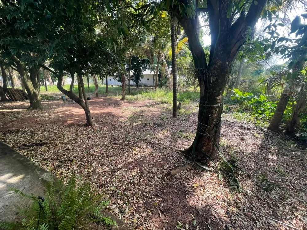 Terreno, 10000 m² - Foto 1