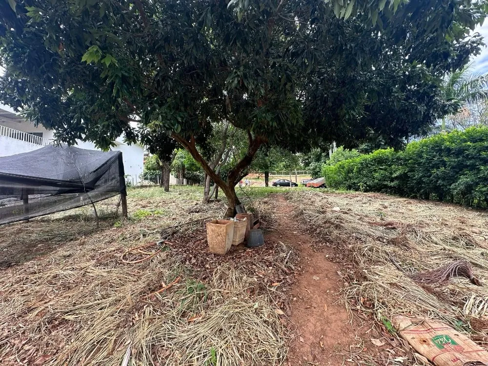 Loteamento e Condomínio, 616 m² - Foto 5