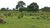 Fazenda-Sítio-Chácara, 402 hectares - Foto 14