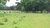Fazenda-Sítio-Chácara, 402 hectares - Foto 6