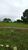 Fazenda-Sítio-Chácara, 402 hectares - Foto 8