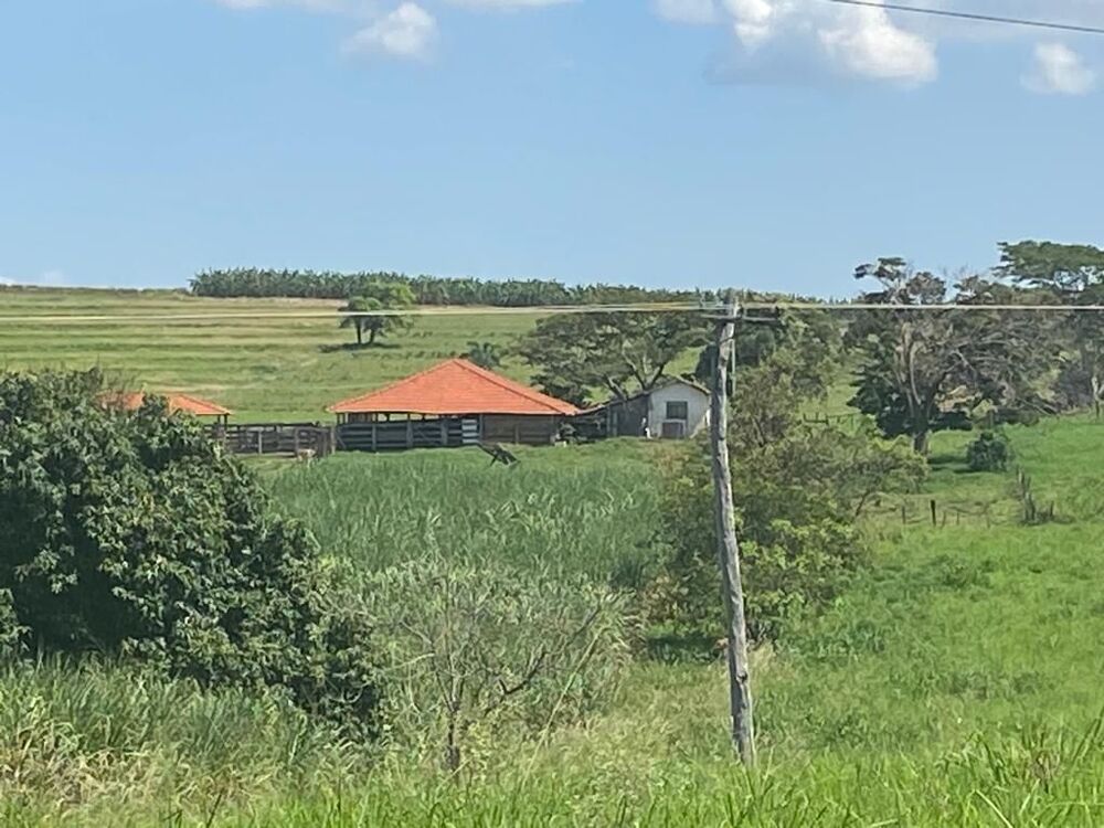 Sítio à venda com 4 quartos, 242000m² - Foto 4