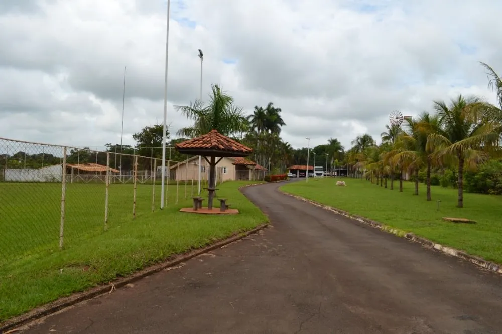 Terreno, 2 hectares - Foto 11