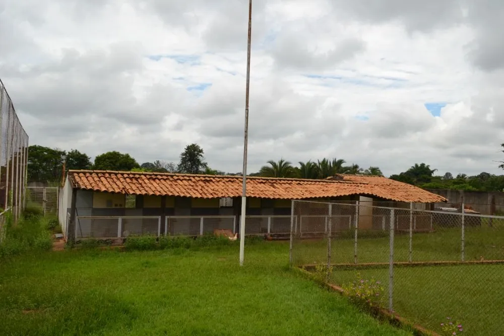 Terreno, 2 hectares - Foto 12