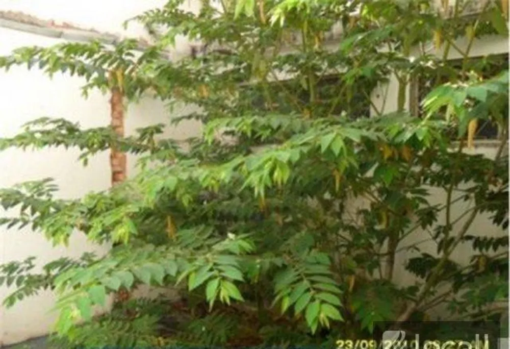 Casa, 3 quartos, 200 m² - Foto 11