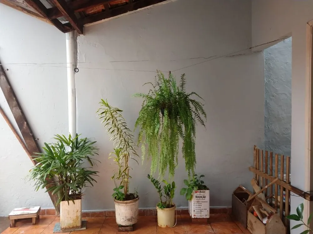 Casa, 2 quartos, 272 m² - Foto 1