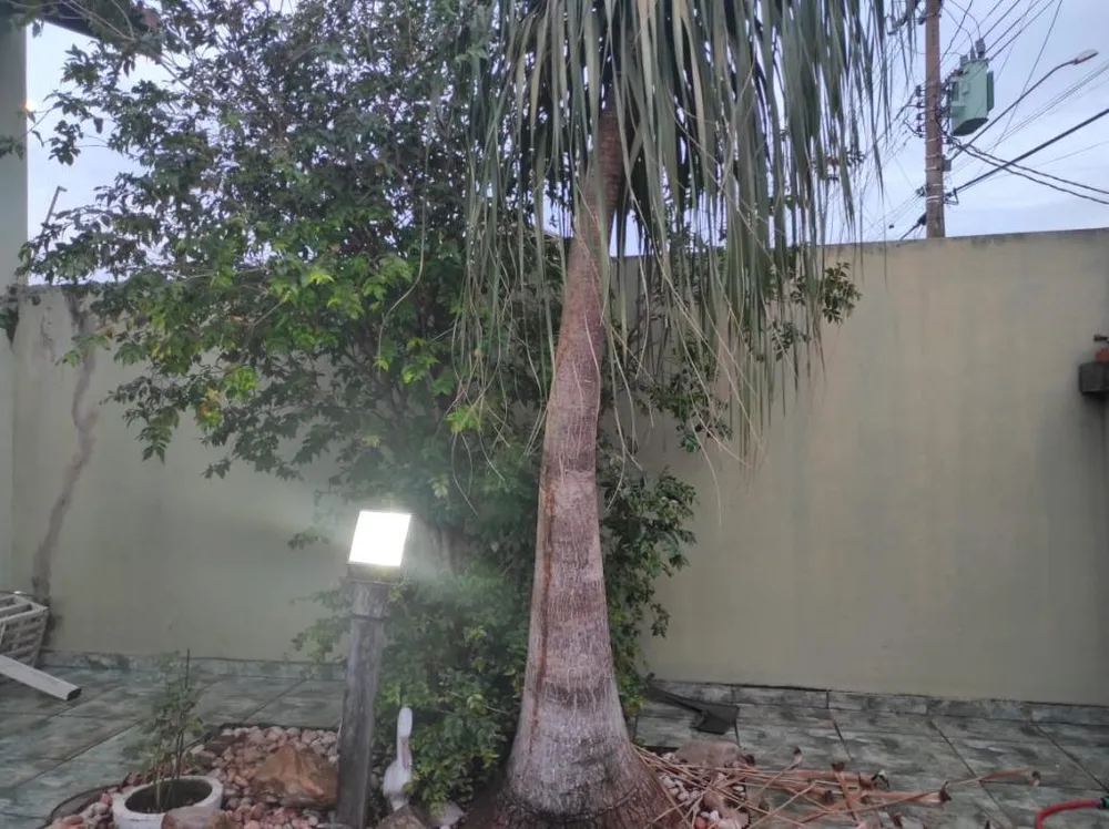 Casa, 3 quartos, 190 m² - Foto 12