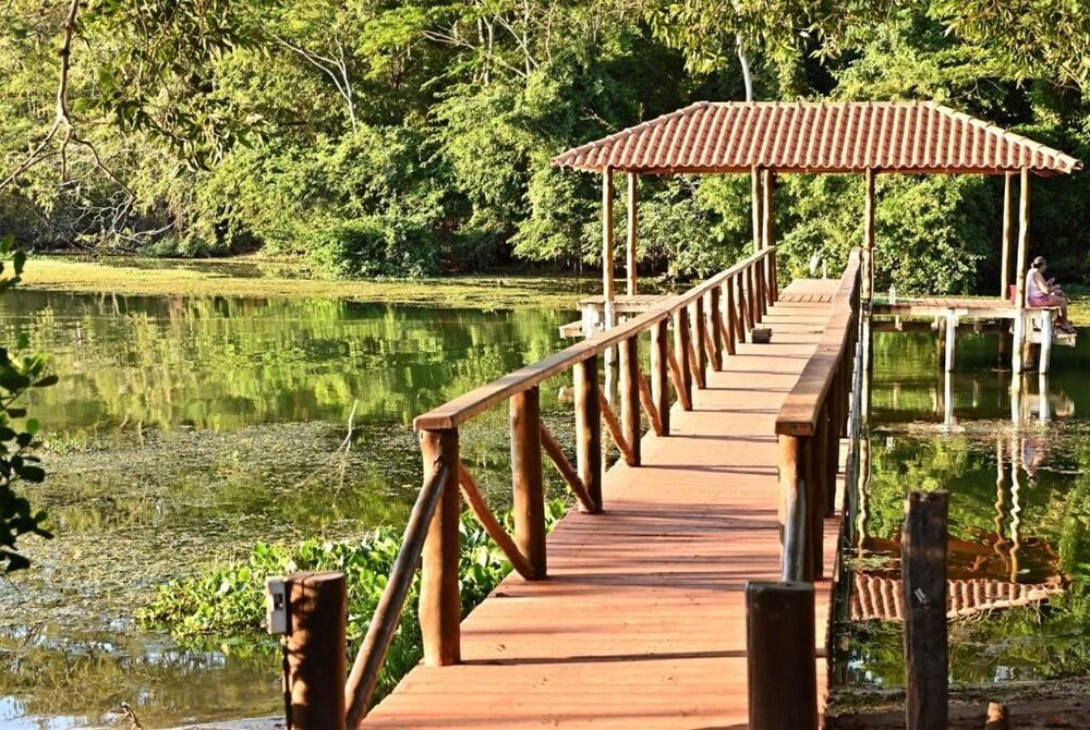 Loteamento e Condomínio à venda, 1000m² - Foto 1