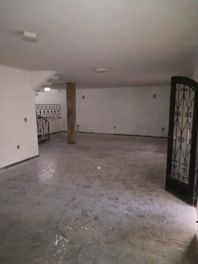 Casa, 3 quartos, 525 m² - Foto 3