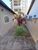 Casa, 3 quartos, 200 m² - Foto 4
