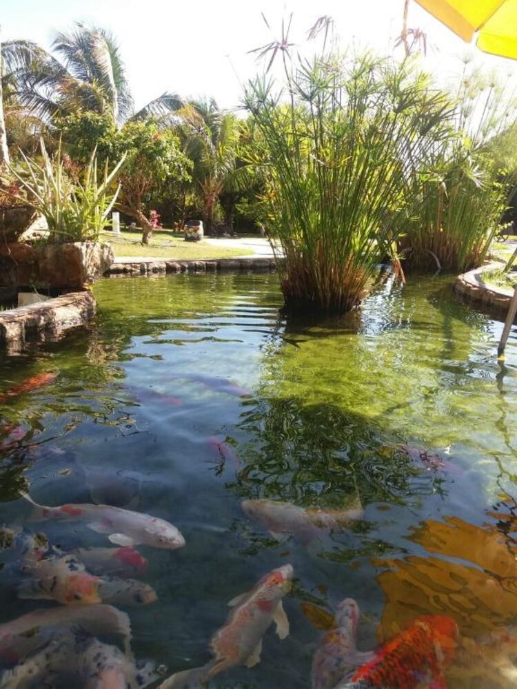 Casa de Condomínio à venda com 4 quartos, 500m² - Foto 2