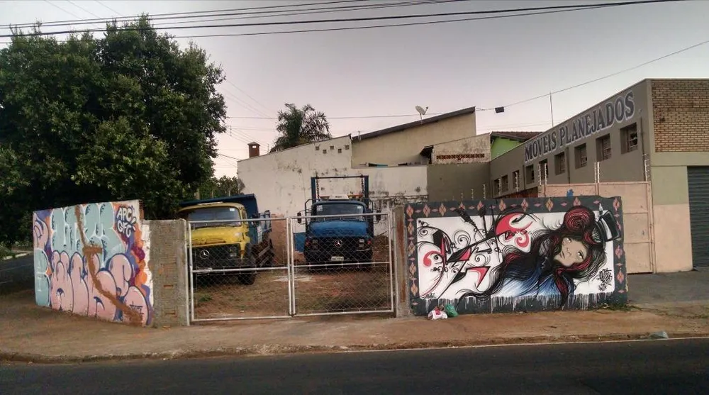 Terreno, 250 m² - Foto 1