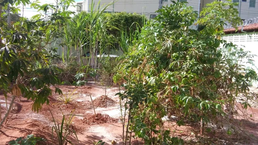 Terreno, 151 m² - Foto 2