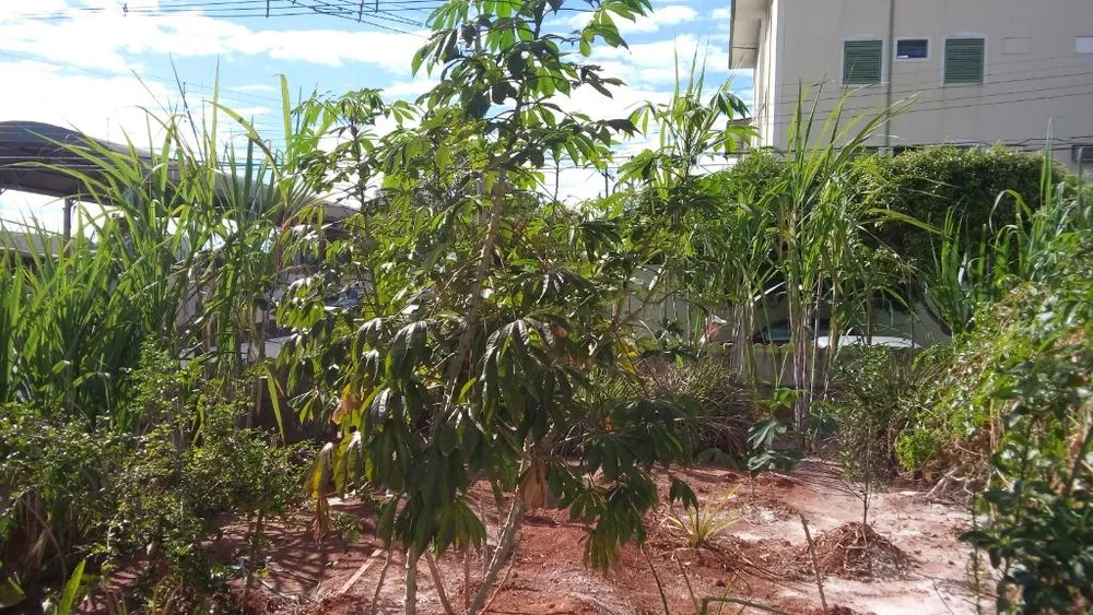 Terreno, 151 m² - Foto 1