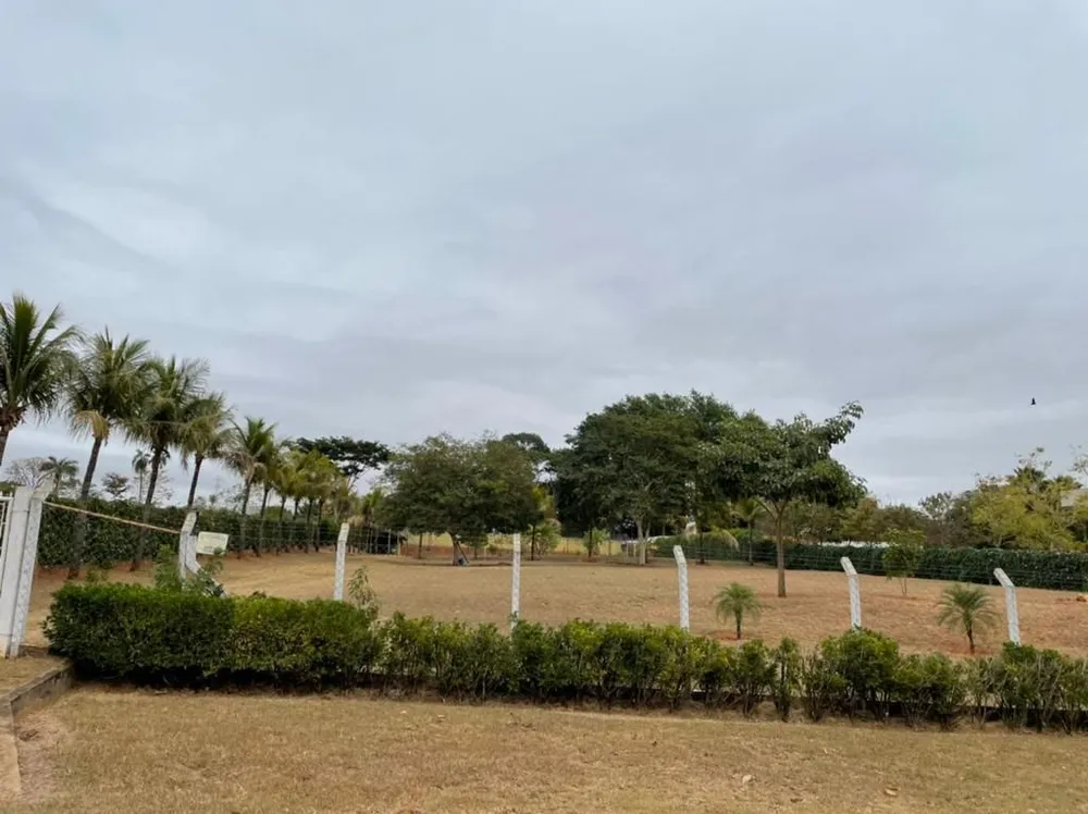 Chácara, 1 quarto, 5000 m² - Foto 3