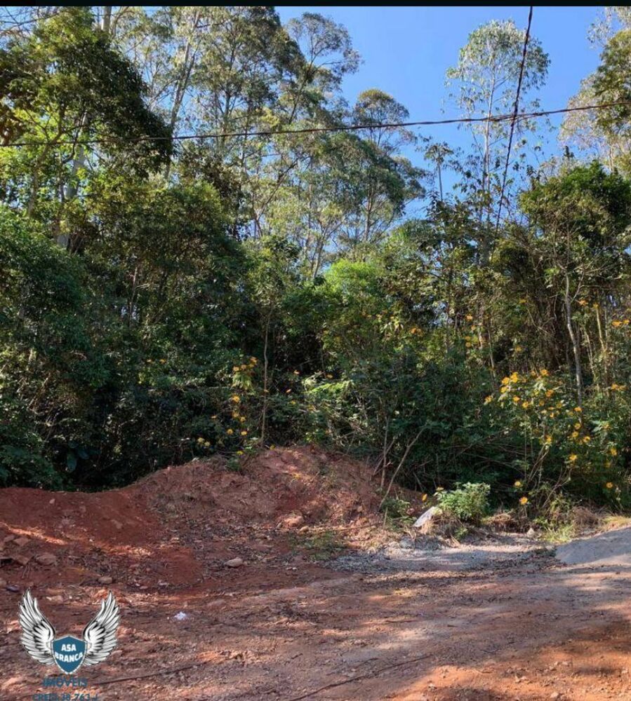 Terreno, 693 m² - Foto 11