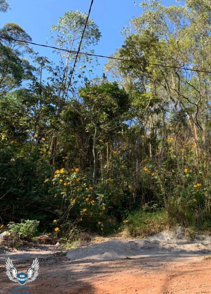 Terreno, 693 m² - Foto 12