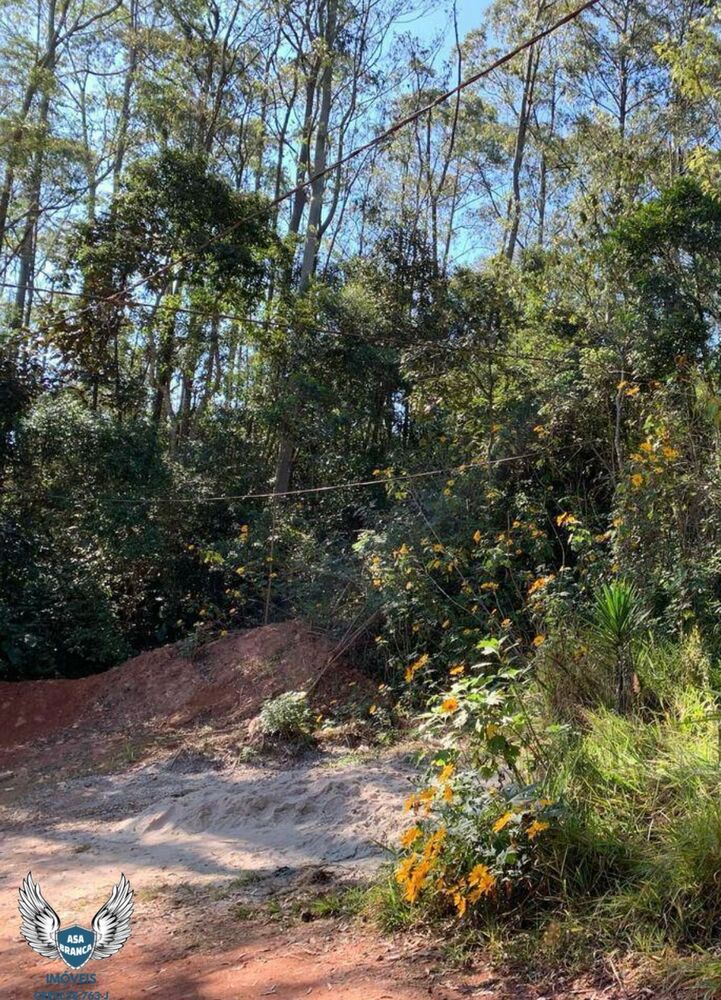 Terreno, 693 m² - Foto 2