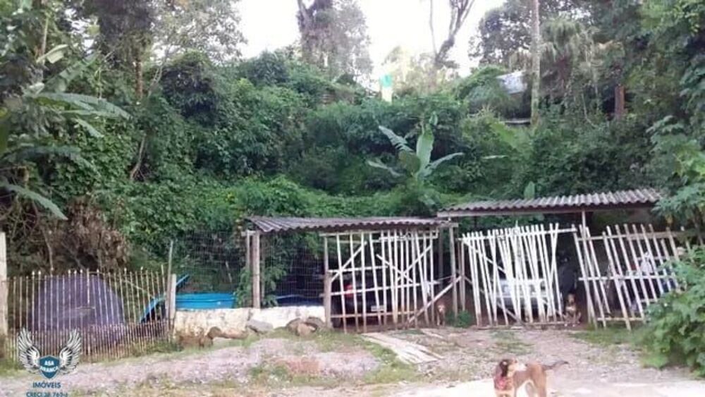Chácara, 2 quartos, 70 m² - Foto 1