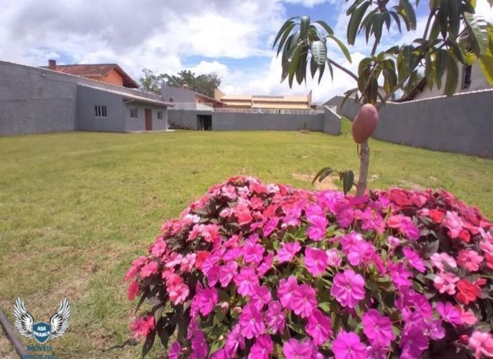 Chácara, 5 quartos, 2450 hectares - Foto 10