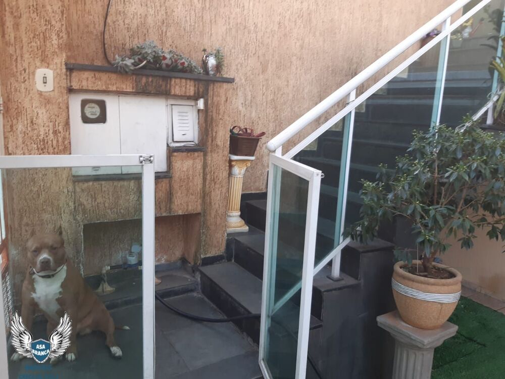 Sobrado, 3 quartos, 260 m² - Foto 16