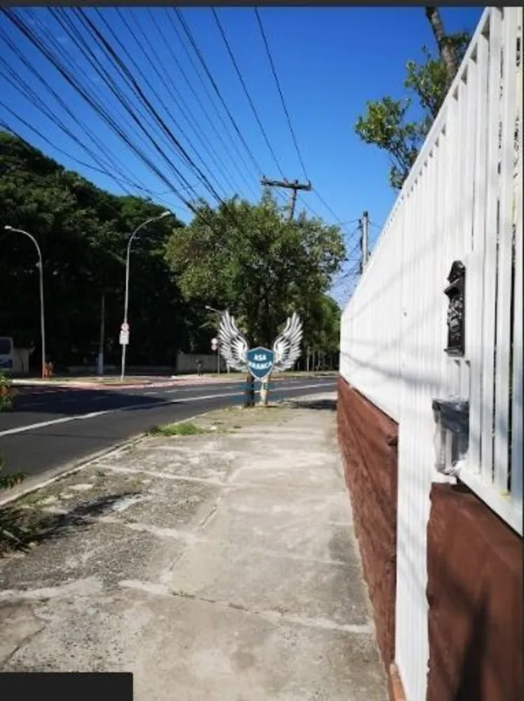 Depósito-Galpão, 216 m² - Foto 6