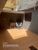 Sobrado, 3 quartos, 135 m² - Foto 5