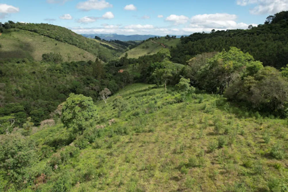 Terreno, 8 hectares - Foto 4