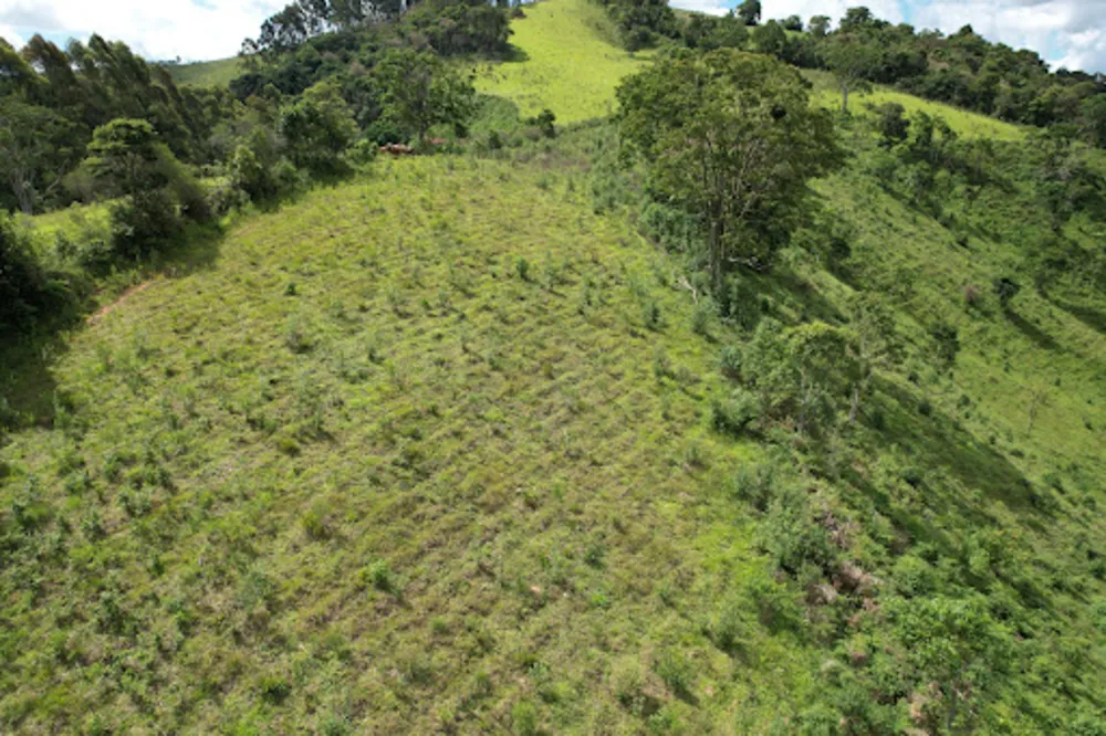 Terreno, 8 hectares - Foto 2