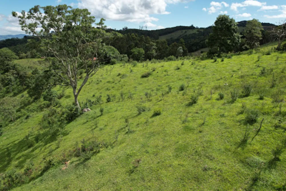 Terreno, 8 hectares - Foto 3