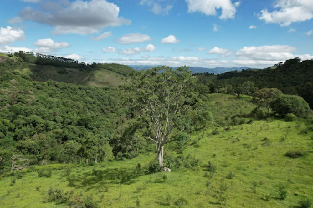 Terreno, 8 hectares - Foto 1