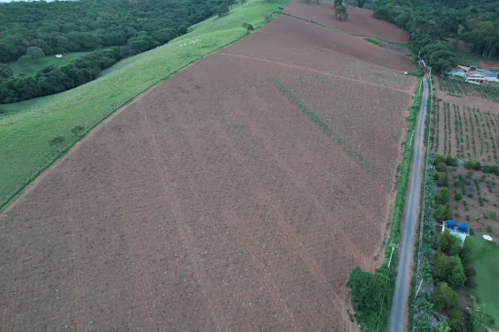 Terreno, 2 hectares - Foto 3