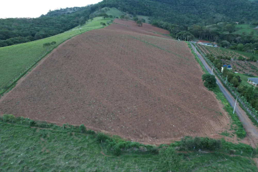 Terreno, 2 hectares - Foto 1