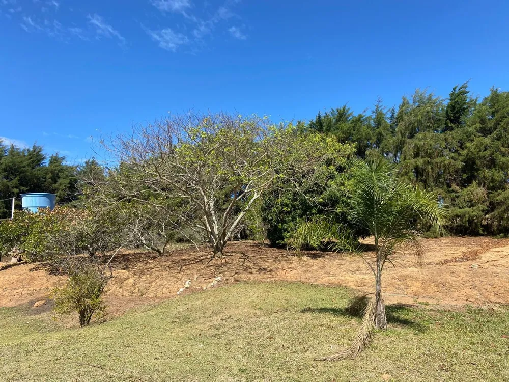Chácara, 4 quartos, 5000 m² - Foto 2