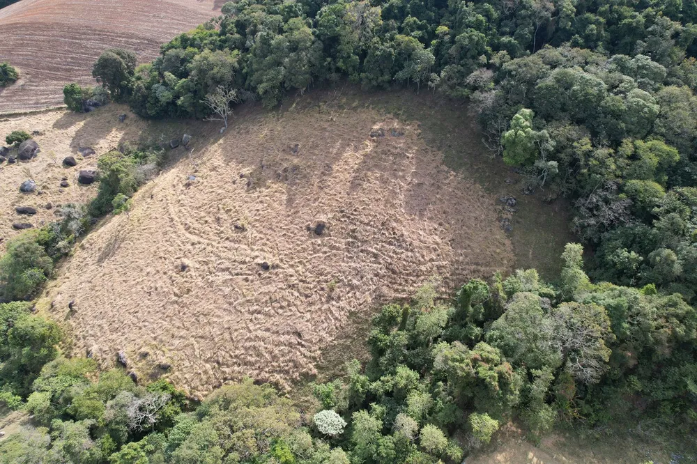 Terreno, 17 hectares - Foto 3