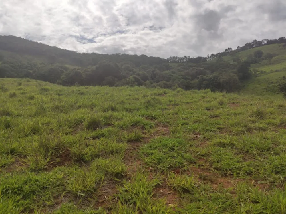 Terreno, 11 hectares - Foto 4
