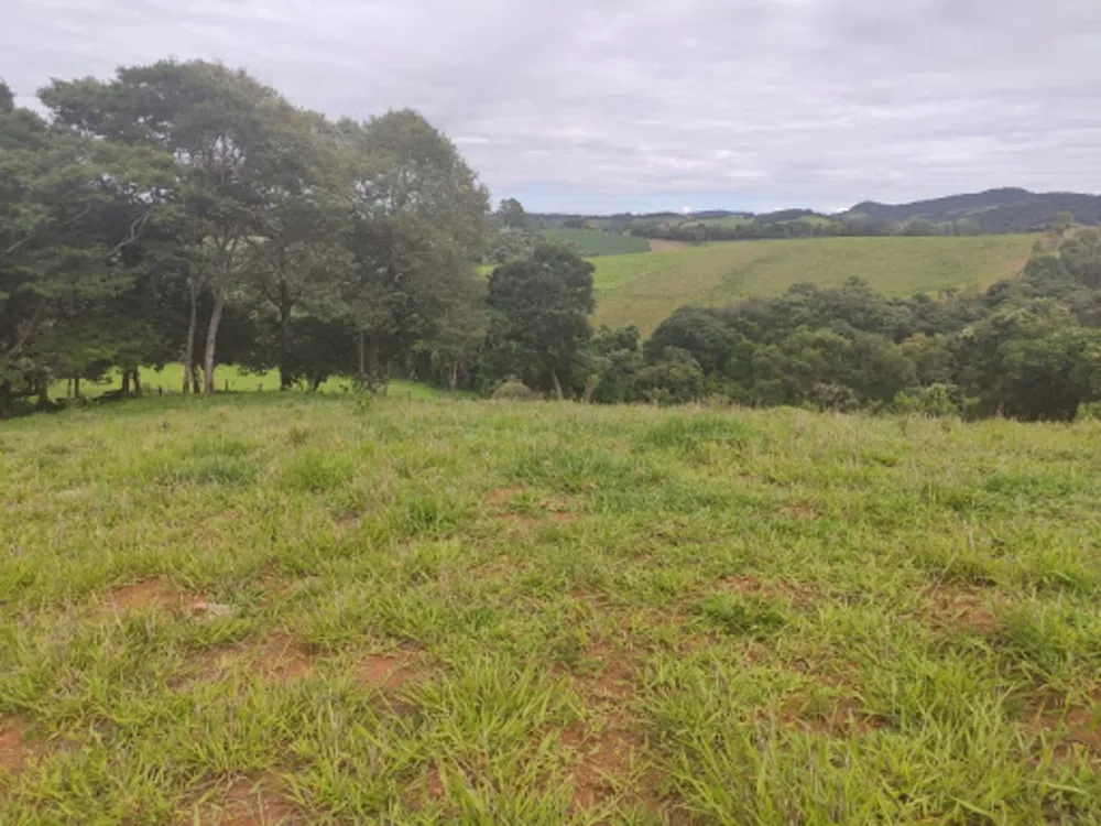 Terreno, 11 hectares - Foto 2