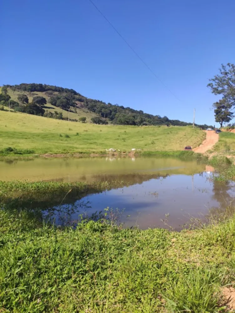 Terreno, 11 hectares - Foto 1